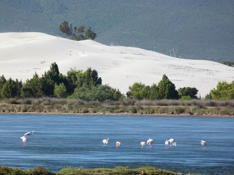 La Vecchia Fornace Sant'Anna Arresi Bagian luar foto